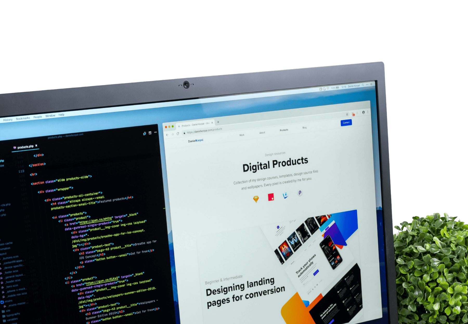 Écran ordinateur code développement web — création site WordPress graphiste freelance Nîmes